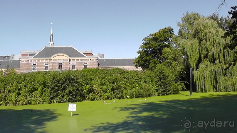 Гаага, Бельгия. «Гулять, так гулять!». Русский флер Гааги.