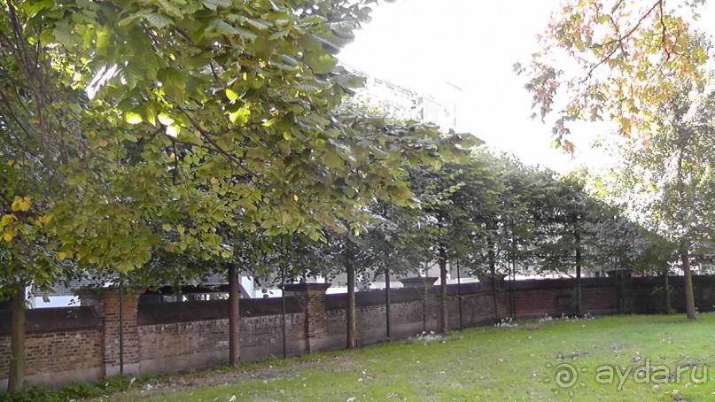 Гаага, Бельгия. «Гулять, так гулять!». Русский флер Гааги.