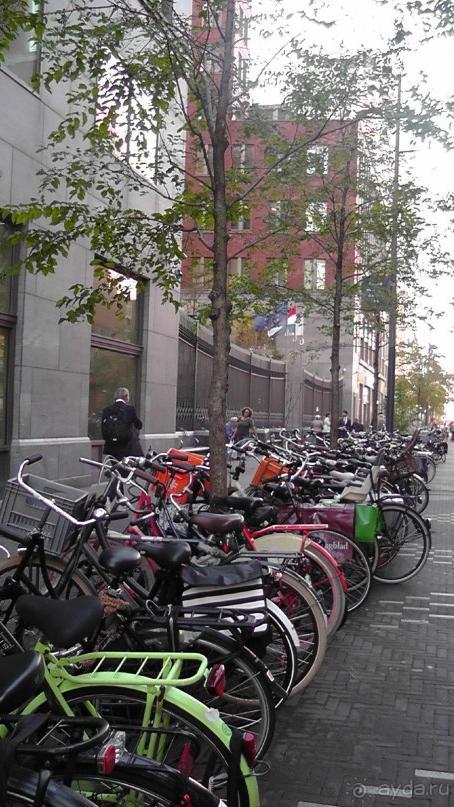 Гаага, Бельгия. «Гулять, так гулять!». Русский флер Гааги.