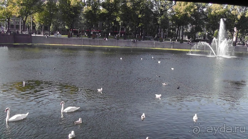 Гаага, Бельгия. «Гулять, так гулять!». Русский флер Гааги.