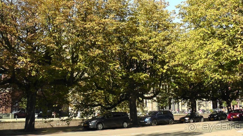 Гаага, Бельгия. «Гулять, так гулять!». Русский флер Гааги.