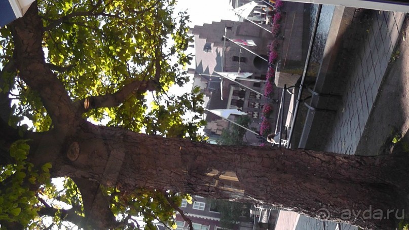 Гаага, Бельгия. «Гулять, так гулять!». Русский флер Гааги.