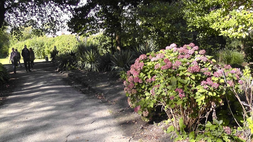 Гаага, Бельгия. «Гулять, так гулять!». Русский флер Гааги.