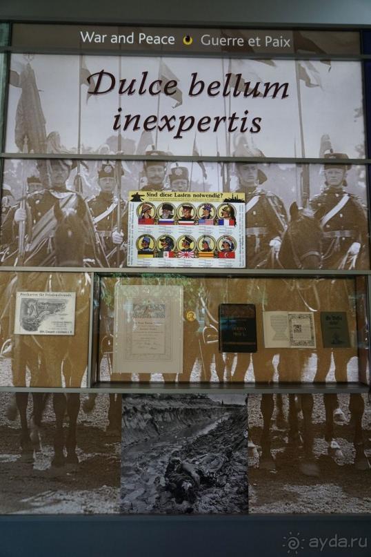 Гаага, Бельгия. «Гулять, так гулять!». Русский флер Гааги.