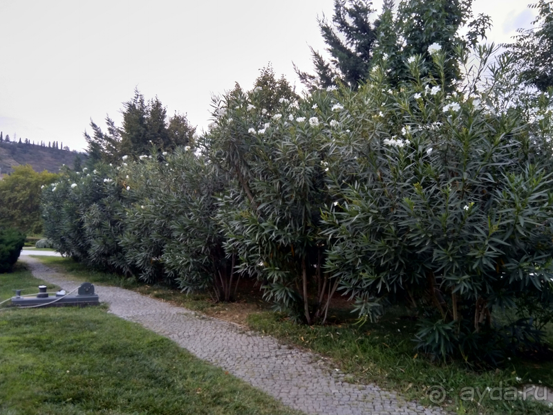 Грузия, Тбилиси. Попала в Грузию в карантин и я попала… Авлабар, парк Рике.