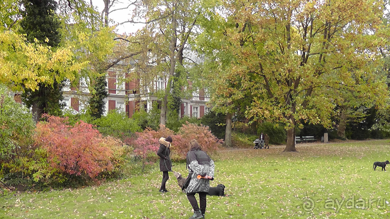   Берлин, Германия. Район Шарлоттенбург.