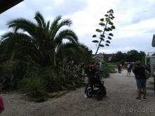 Хэвиз, Кэстхей. Это Венгрия! И снова здрасти!