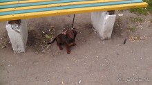 Альбом отзыва "Переяслав-Хмельницкий славный город, город Славы."