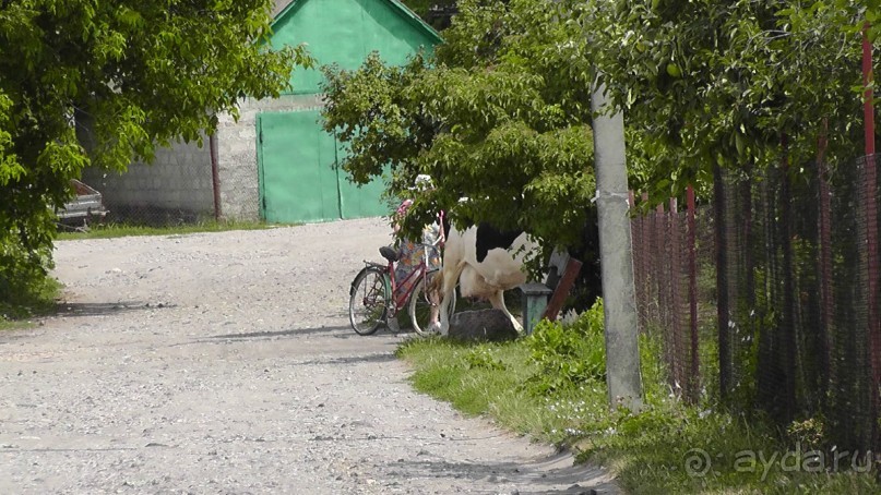 Переяслав-Хмельницкий славный город, город Славы.