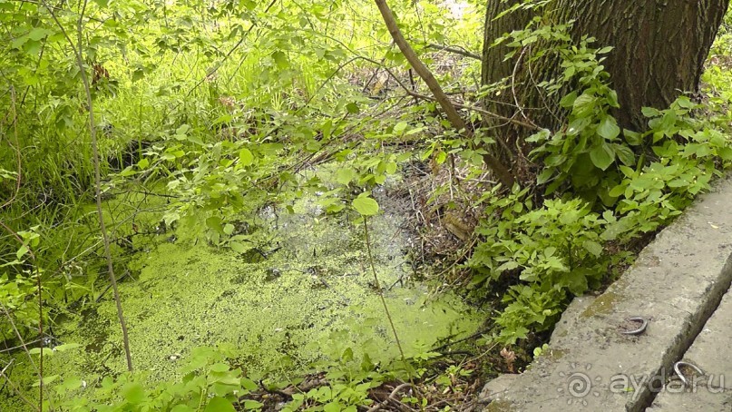 Переяслав-Хмельницкий славный город, город Славы.
