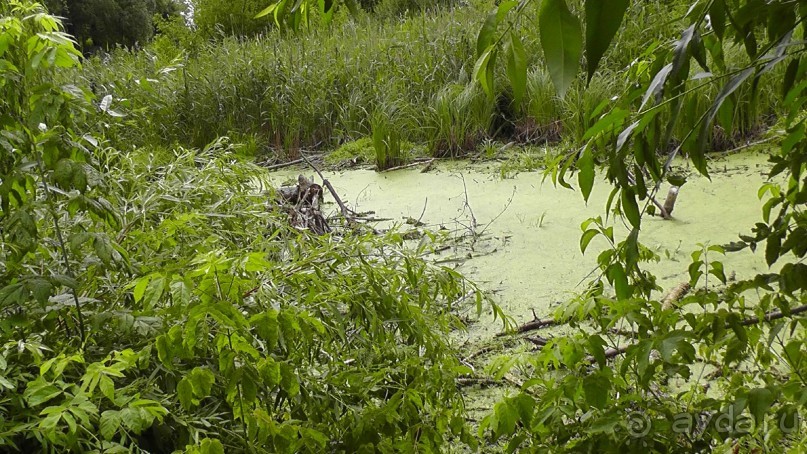 Переяслав-Хмельницкий славный город, город Славы.