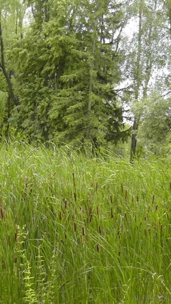 Переяслав-Хмельницкий славный город, город Славы.