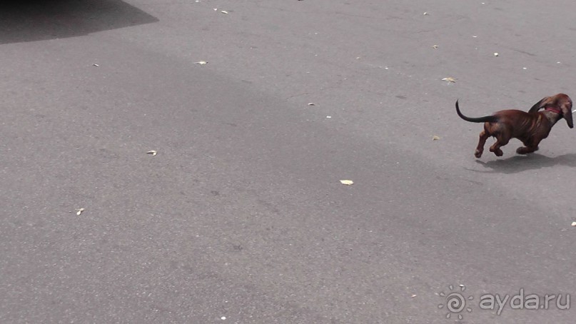 Переяслав-Хмельницкий славный город, город Славы.