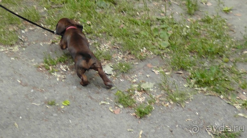 Переяслав-Хмельницкий славный город, город Славы.