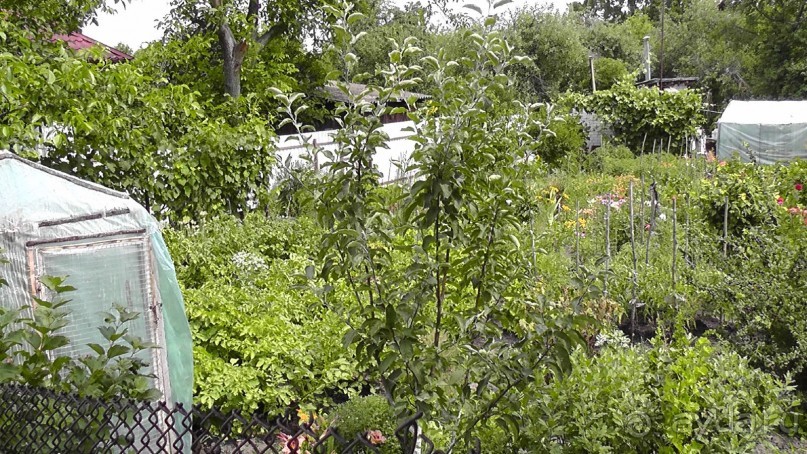 Переяслав-Хмельницкий славный город, город Славы.