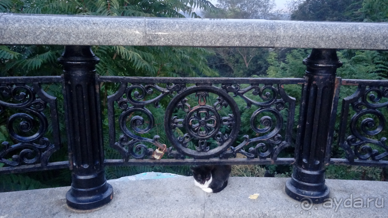 г.Киев, Мариинский парк – очарование царского сада.