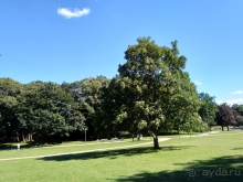 Германия. Гамбург - брутальный город. Часть II cухопутная, от центра к Репербану.