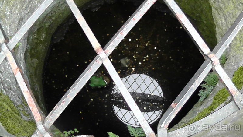 фото Dorada Palace