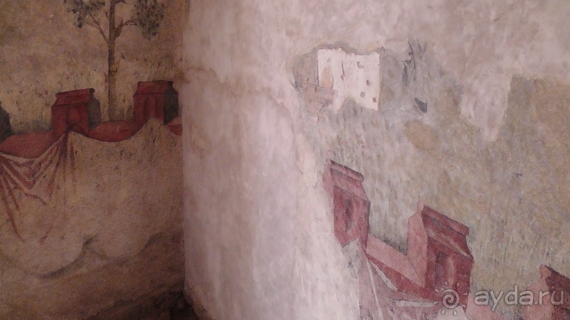 фото Dorada Palace