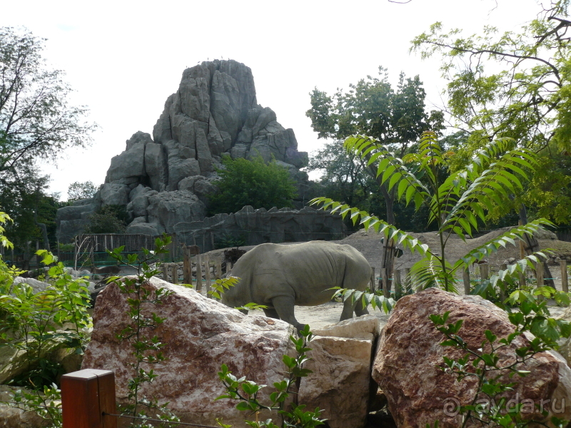 фото El Mouradi Palm Marina