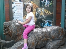 фото El Mouradi Palm Marina