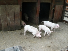 фото El Mouradi Palm Marina