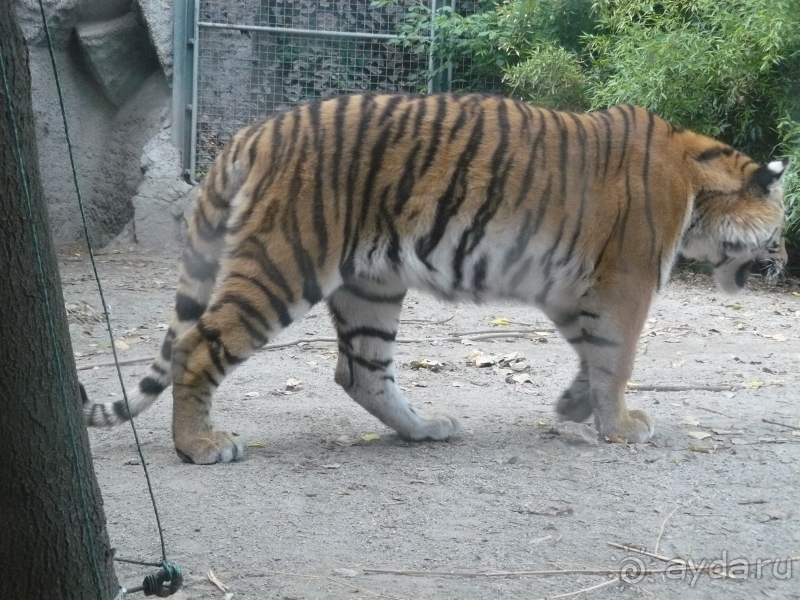 фото El Mouradi Palm Marina