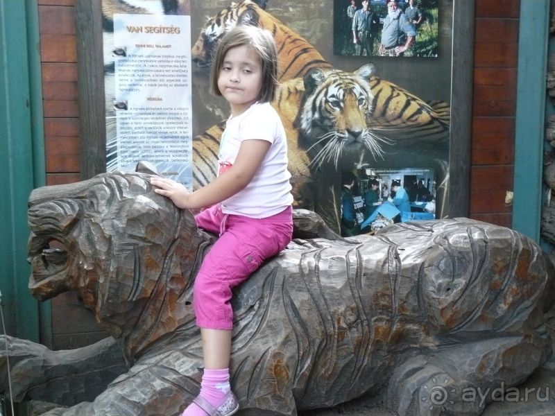 фото El Mouradi Palm Marina