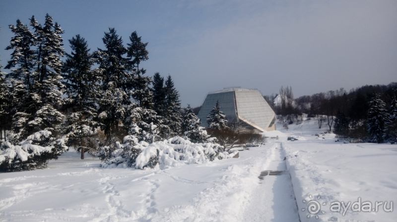 Киев, Ботанический сад. Весна-лето, осень-зима, а в середине Вечность! Зима.