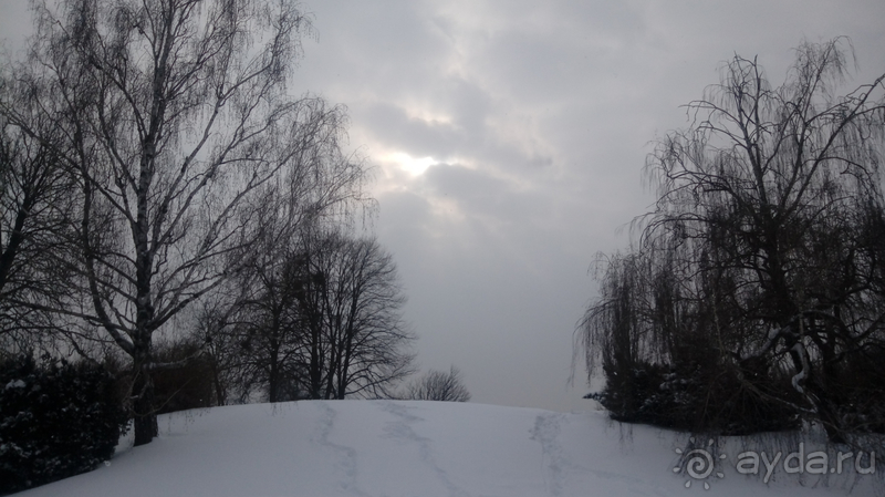 Киев, Ботанический сад. Весна-лето, осень-зима, а в середине Вечность! Зима.