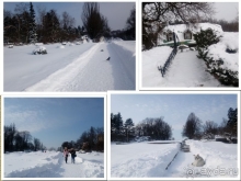 Киев, Ботанический сад. Весна-лето, осень-зима, а в середине Вечность! Зима.