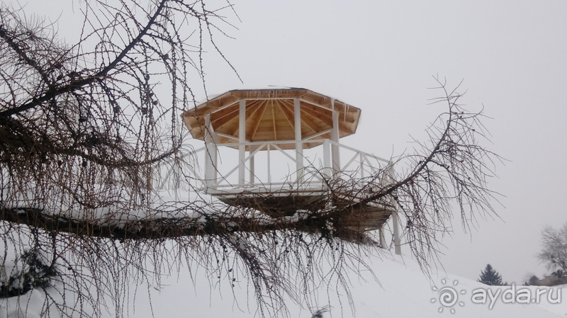 Киев, Ботанический сад. Весна-лето, осень-зима, а в середине Вечность! Зима.