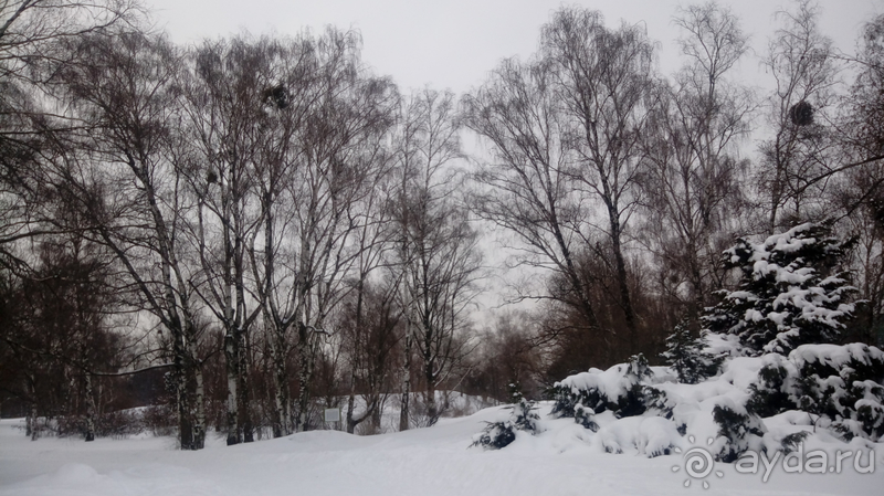 Киев, Ботанический сад. Весна-лето, осень-зима, а в середине Вечность! Зима.