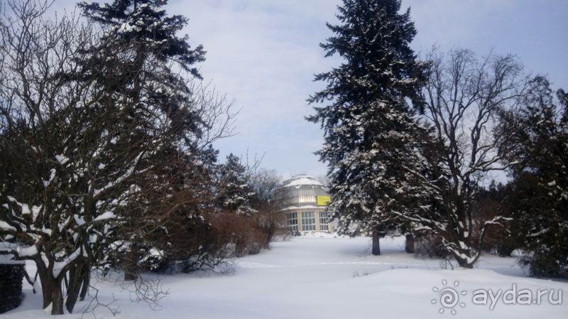 Киев, Ботанический сад. Весна-лето, осень-зима, а в середине Вечность! Зима.