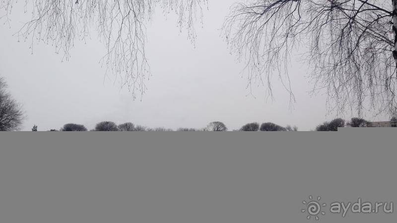 Киев, Ботанический сад. Весна-лето, осень-зима, а в середине Вечность! Зима.