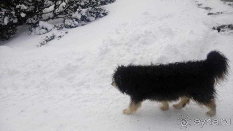 Киев, Ботанический сад. Весна-лето, осень-зима, а в середине Вечность! Зима.