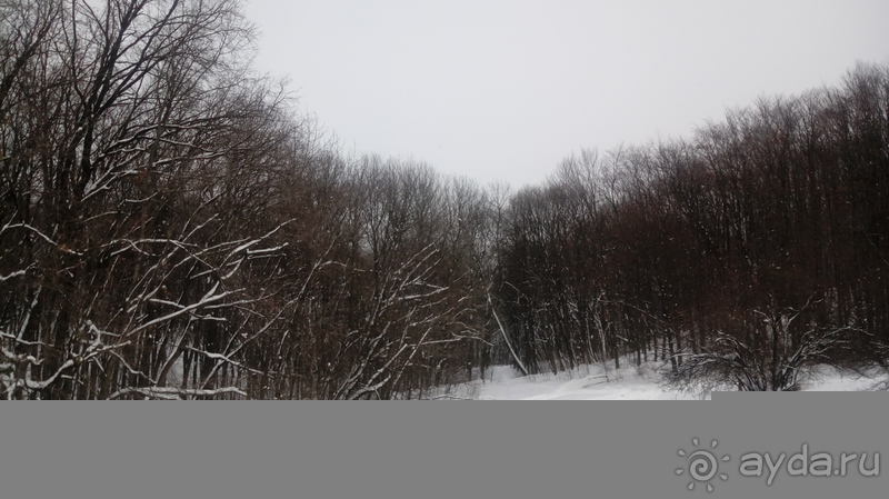 Киев, Ботанический сад. Весна-лето, осень-зима, а в середине Вечность! Зима.