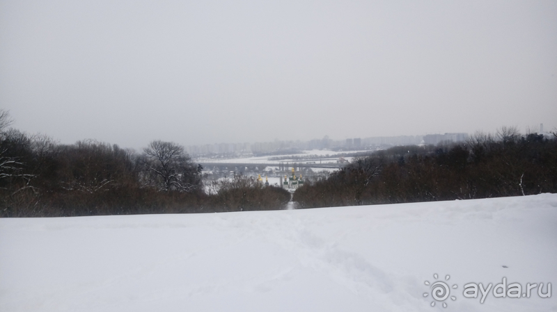 Киев, Ботанический сад. Весна-лето, осень-зима, а в середине Вечность! Зима.