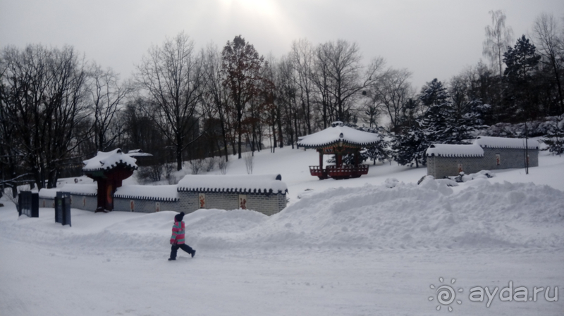 Киев, Ботанический сад. Весна-лето, осень-зима, а в середине Вечность! Зима.