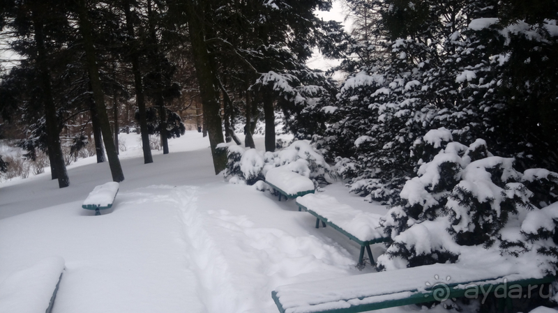 Киев, Ботанический сад. Весна-лето, осень-зима, а в середине Вечность! Зима.