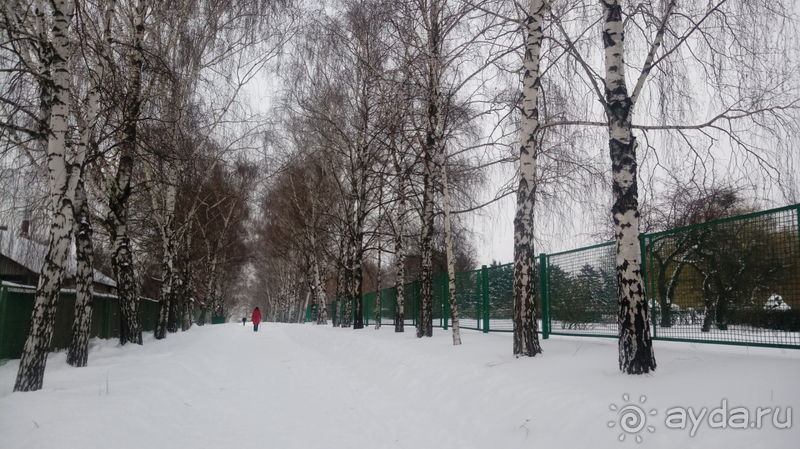 Киев, Ботанический сад. Весна-лето, осень-зима, а в середине Вечность! Зима.