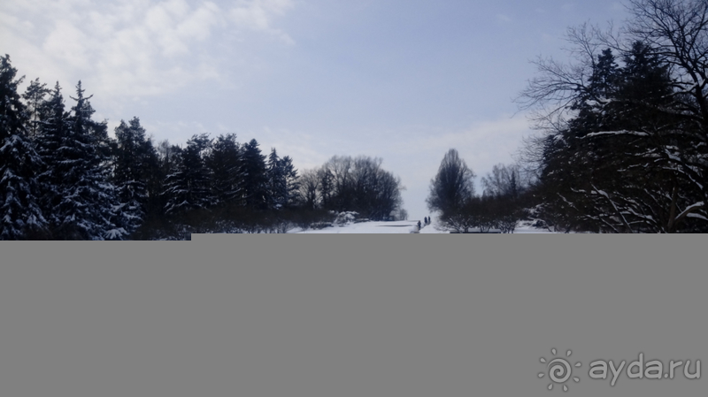 Киев, Ботанический сад. Весна-лето, осень-зима, а в середине Вечность! Зима.