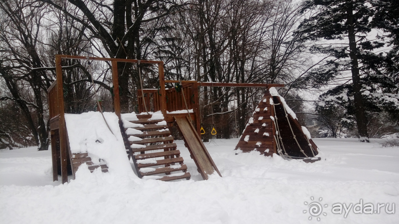 Киев, Ботанический сад. Весна-лето, осень-зима, а в середине Вечность! Зима.
