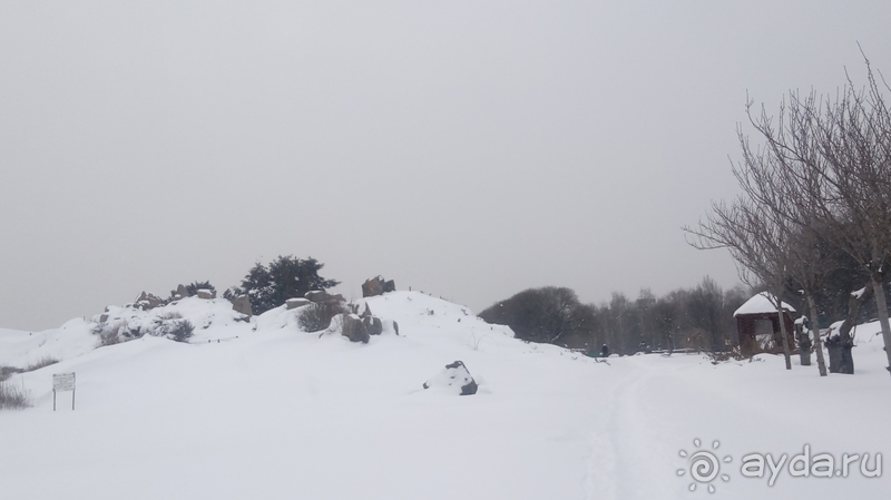 Киев, Ботанический сад. Весна-лето, осень-зима, а в середине Вечность! Зима.