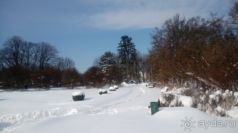 Киев, Ботанический сад. Весна-лето, осень-зима, а в середине Вечность! Зима.