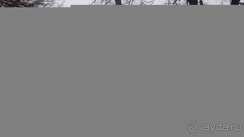 Киев, Ботанический сад. Весна-лето, осень-зима, а в середине Вечность! Зима.