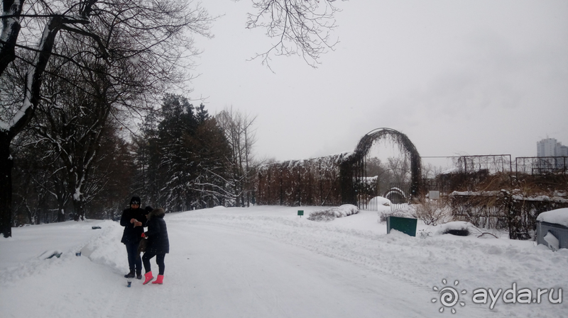 Киев, Ботанический сад. Весна-лето, осень-зима, а в середине Вечность! Зима.