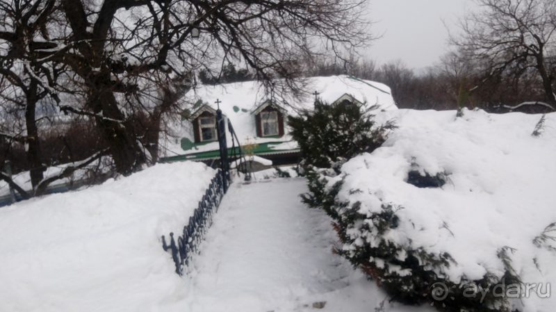 Киев, Ботанический сад. Весна-лето, осень-зима, а в середине Вечность! Зима.