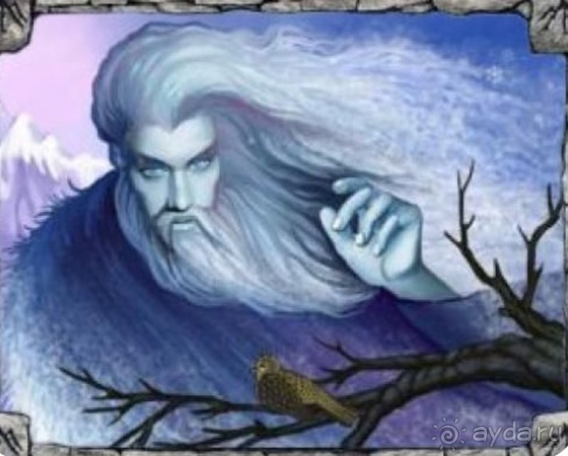 Киев, Ботанический сад. Весна-лето, осень-зима, а в середине Вечность! Зима.