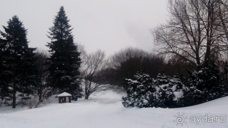 Киев, Ботанический сад. Весна-лето, осень-зима, а в середине Вечность! Зима.